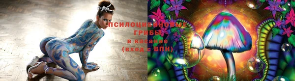 мяу мяу мука Балахна