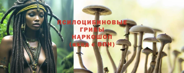 мяу мяу мука Балахна