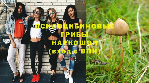метадон Арсеньев