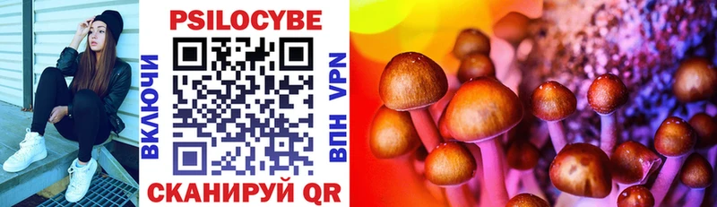 KRAKEN ТОР  Медынь  Псилоцибиновые грибы Cubensis 